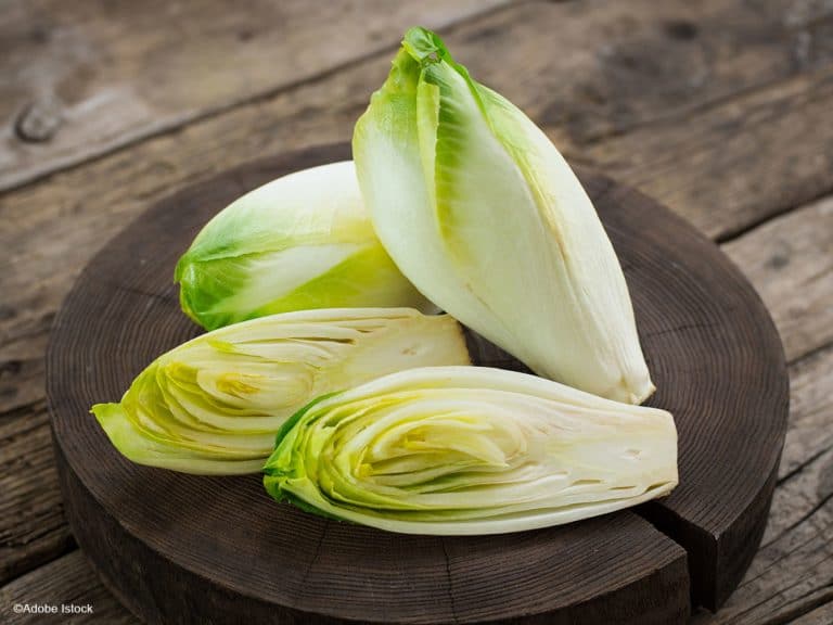 salade d'endives au chorizo